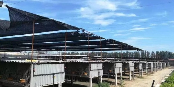辦公室空調節能控制器